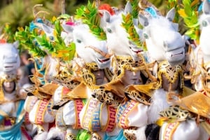 Excursion to the Santa Cruz de Tenerife Carnival Parade