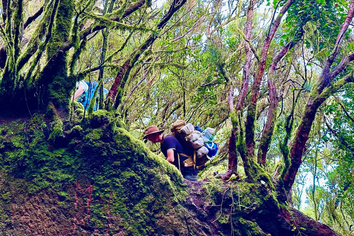 Udforsk Anagas skjulte perler. GRATIS afhentning.