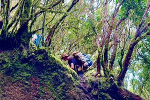 Udforsk Anagas skjulte perler. GRATIS afhentning.