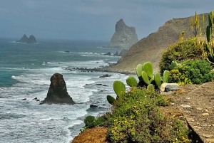 Udforsk Anagas skjulte perler. GRATIS afhentning.