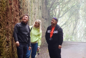 Udforsk Anagas skjulte perler. GRATIS afhentning.