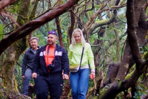 Udforsk Anagas skjulte perler. GRATIS afhentning.