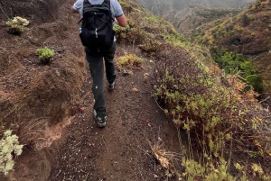 Udforsk Anagas skjulte perler. GRATIS afhentning.