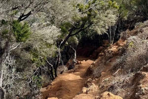 Udforsk Anagas skjulte perler. GRATIS afhentning.