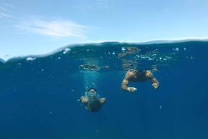 Explorez Ténérife avec le kit de plongée en apnée