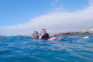 Explore the ocean - Snorkeling for Beginners Los Cristianos