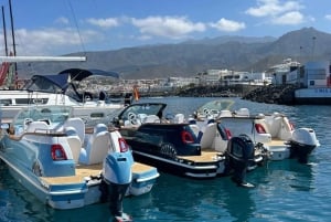 Bootsausflug mit dem Fiat 500 - Puerto Colòn - Playa de las Americas (Teneriffa)