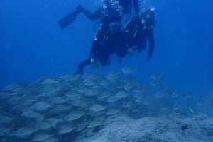 First Experience underwater. Try Scuba Diving