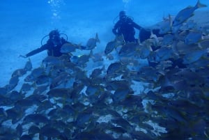 First Experience underwater. Try Scuba Diving