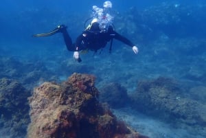 First Experience underwater. Try Scuba Diving