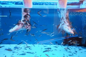 Experiencia Fish Spa Playa Fañabe