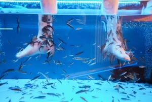 Fish Spa Experience