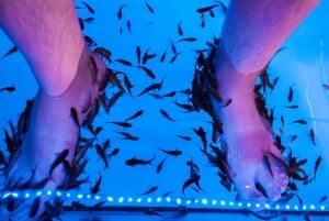 Fish Spa Experience