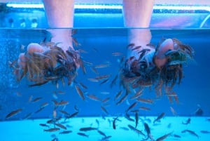 Pielęgnacja stóp i Fish Spa Playa Fañabé