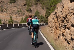 From Adeje: Vilaflor Guided Road Cycling Tour
