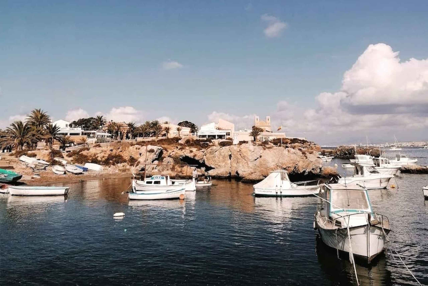 From Alicante and Torrevieja: Excursion to Tabarca, Santa Pola and Laguna Rosa