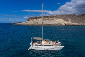 From Costa Adeje: Private Catamaran Tour with Snorkeling