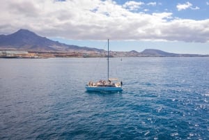 From Costa Adeje: Private Catamaran Tour with Snorkeling