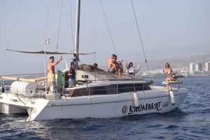 Desde Costa Adeje: tour privado en catamarán con snorkel