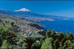From Gran Canaria: Day Trip to Tenerife