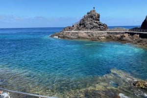 From Los Cristianos: La Gomera Island Full-Day Trip