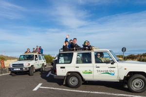 Da Playa de las América: tour di mezza giornata con safari in jeep