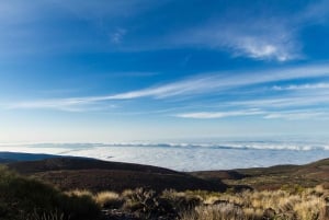 Depuis Playa de las Américas : Safari en jeep d'une journée au Teide