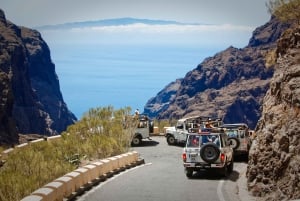 Depuis Playa de las Américas : Safari en jeep d'une journée au Teide