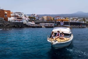 Desde Playa San Juan: Avistamiento de ballenas, Gigantes y Bahía Masca