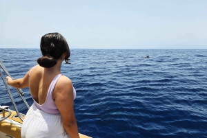 Desde Playa San Juan: Avistamiento de ballenas, Gigantes y Bahía Masca