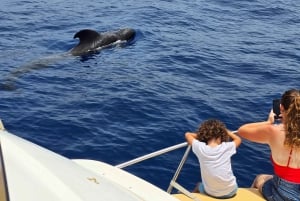 Desde Playa San Juan: Avistamiento de ballenas, Gigantes y Bahía Masca