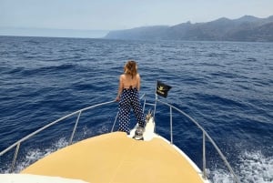 Desde Playa San Juan: Avistamiento de ballenas, Gigantes y Bahía Masca