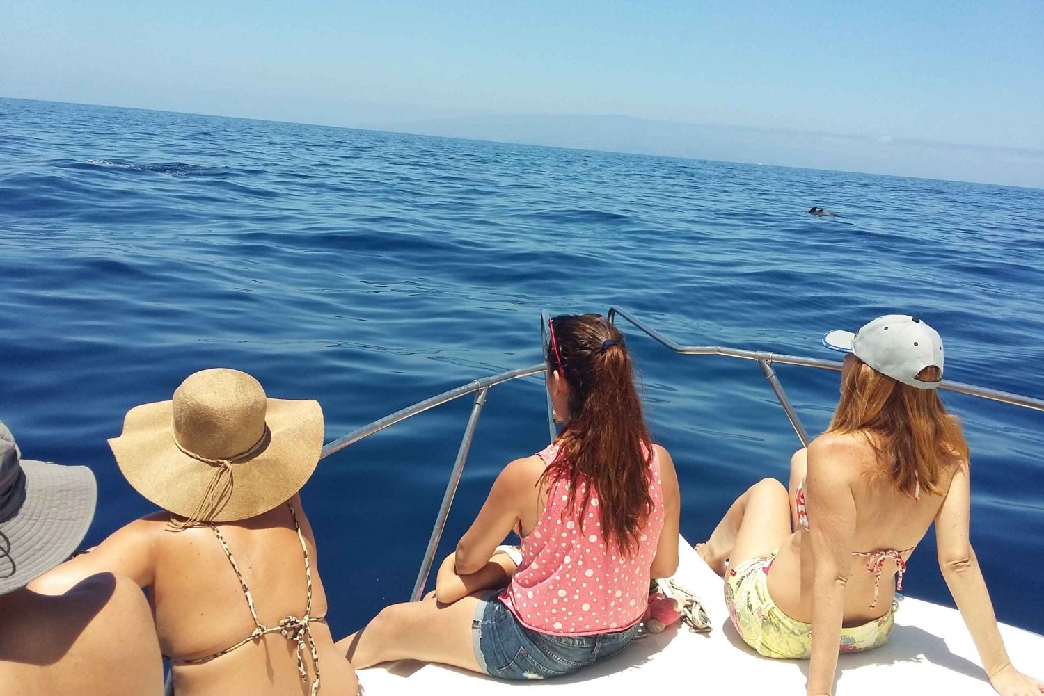 Desde Playa San Juan: Avistamiento de ballenas, Gigantes y Bahía Masca