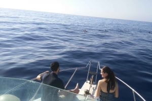 Desde Playa San Juan: Avistamiento de ballenas, Gigantes y Bahía Masca