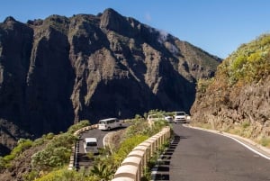 Da Puerto de la Cruz: Tour VIP Teide e Masca