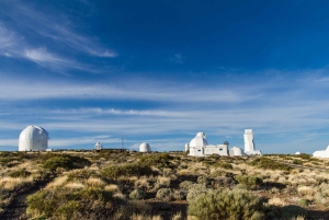 Da Puerto de la Cruz: Tour VIP Teide e Masca