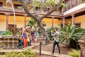 From Puerto de La Cruz: VIP Tour Around Anaga and La Laguna