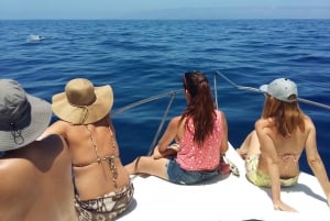 From San Juan beach : Marine Life Cruise