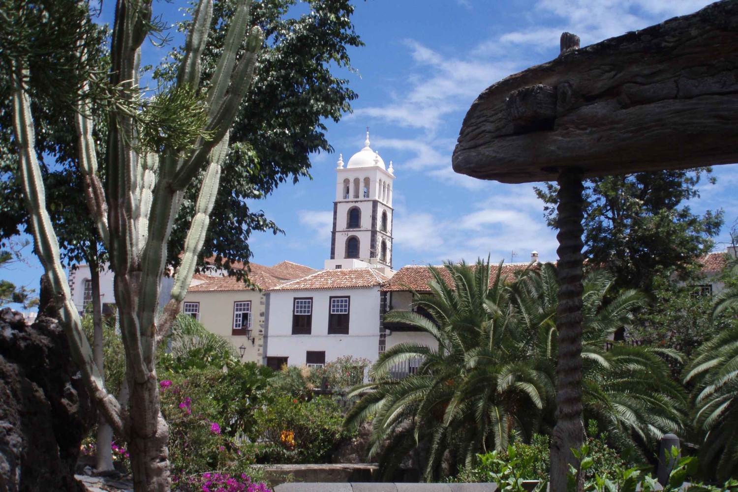 From Santa Cruz de Tenerife: Masca & Garachico Private Trip