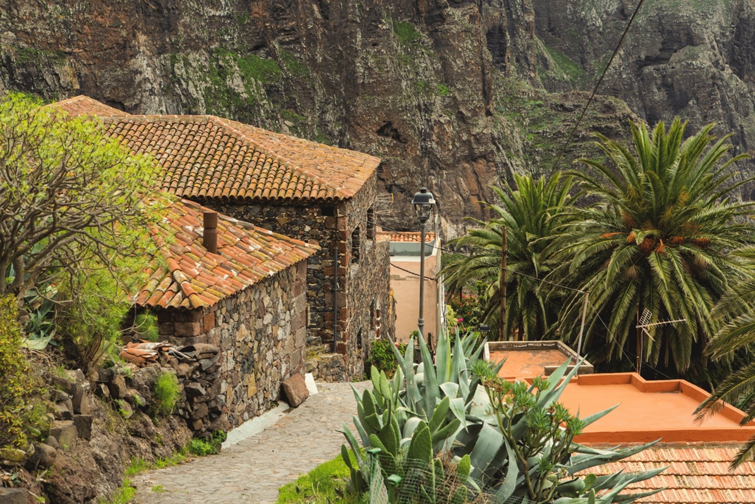 From Santa Cruz de Tenerife: Masca & Garachico Private Trip