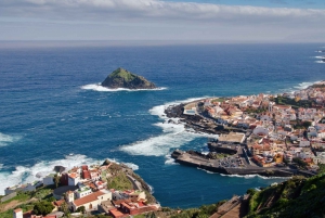 From Santa Cruz de Tenerife: Masca & Garachico Private Trip