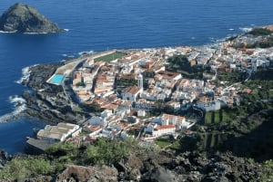 From Santa Cruz de Tenerife: Masca & Garachico Private Trip