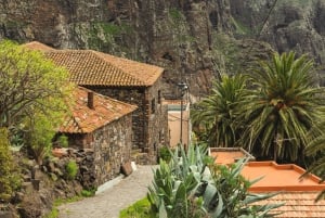 From Santa Cruz de Tenerife: Masca & Garachico Private Trip