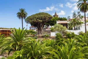 From Santa Cruz de Tenerife: Masca & Garachico Private Trip