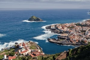 From Santa Cruz de Tenerife: Masca & Garachico Private Trip