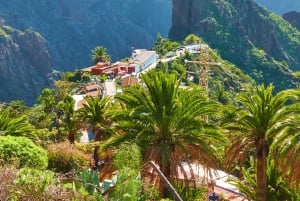 From Santa Cruz de Tenerife: Masca & Garachico Private Trip