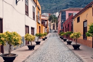 From Santa Cruz de Tenerife: Masca & Garachico Private Trip