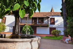 From Santa Cruz de Tenerife: Masca & Garachico Private Trip