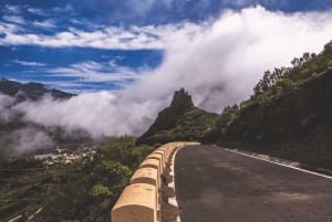 From Santa Cruz de Tenerife: Masca & Garachico Private Trip