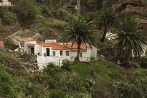 From Santa Cruz de Tenerife: Masca & Garachico Private Trip